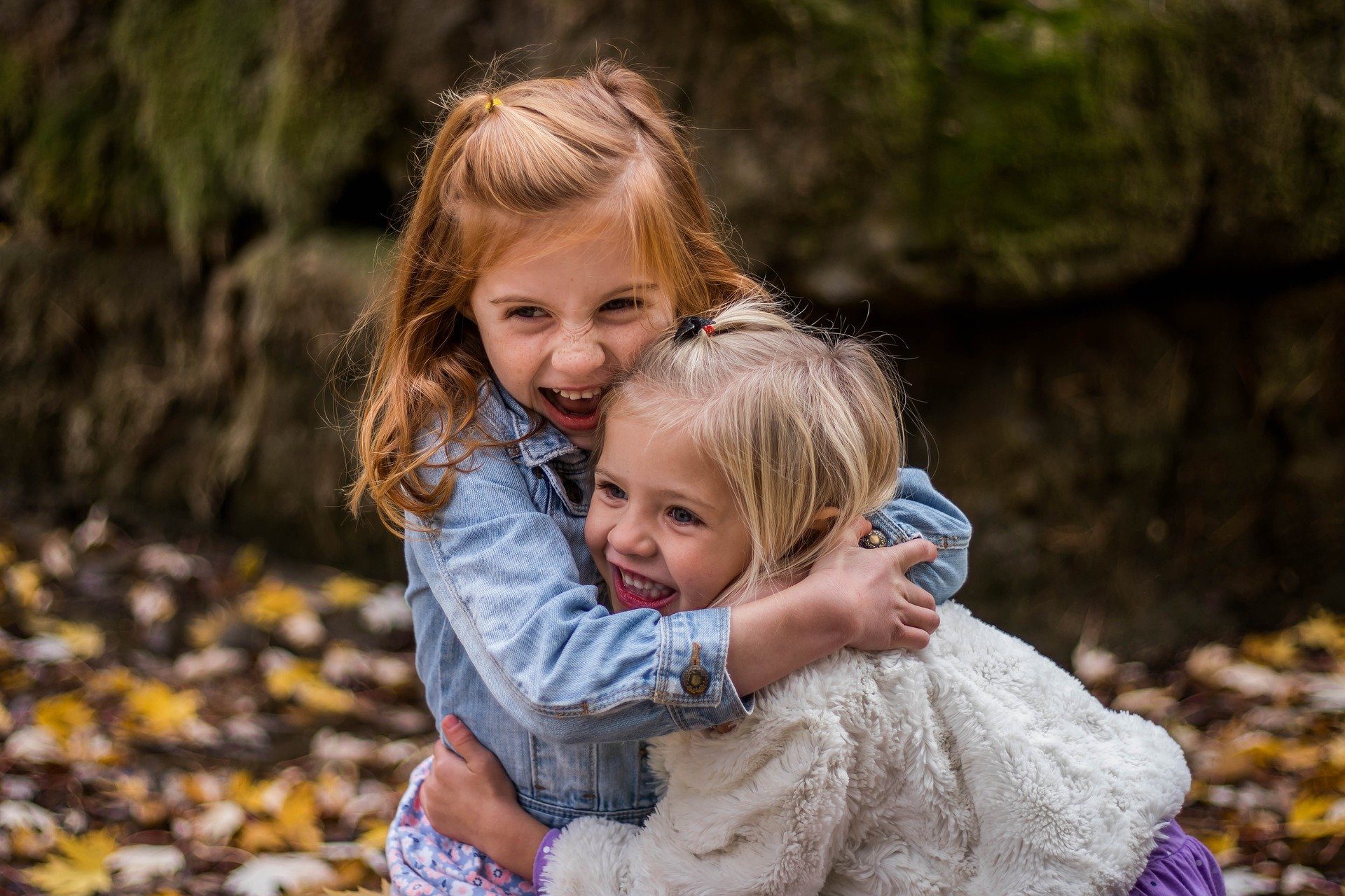 cropped-children-1869265_1920.jpg